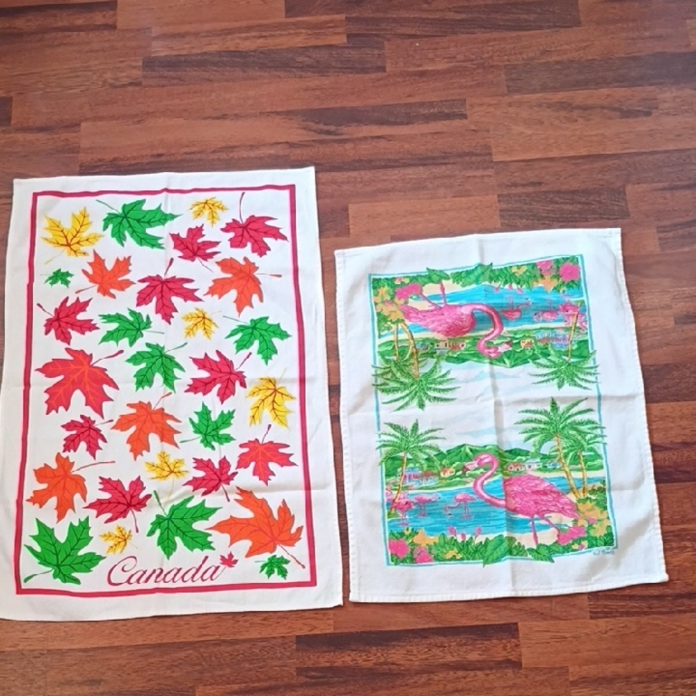 2 kitchen towels